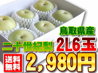 【全国送料無料】鳥取の名産品！果汁た〜っぷり清涼感溢れる梨です！[二十世紀梨6玉入り]【smtb-k】【ky】