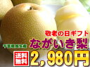 ※敬老の日お届けは終了いたしました。シャリシャリであま〜い梨です！千葉県産[長生き梨6玉]