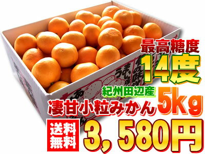 11月中旬頃からの商品発送です【全国送料無料】じゅわっと甘味満載！紀州田辺産[凄甘小粒みかん5kg]