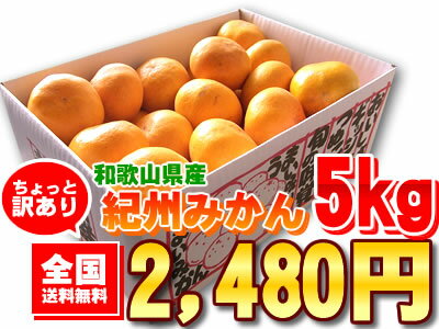 【全国送料無料】和歌山県有田・田辺産[ちょっと訳あり紀州みかん5kg]