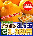 1月中旬ころからの商品発送【全国送料無料!】じゅわ〜っと甘味...