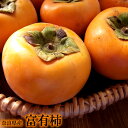 11月より出荷【送料無料】シャキっとして...