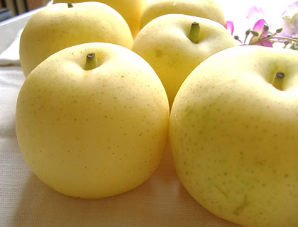 資料写真