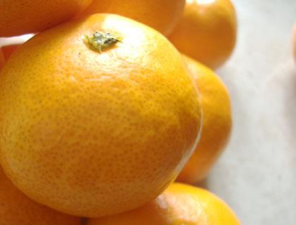 ̵ۤʤ15٤ĶޡͭĤ[§ߤ2.5kg]