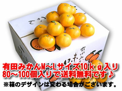 ʰǤϤǤڤ̵ۡۤߤܾ²λꤹ[ͭĤߤML10kg]