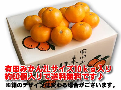 ʰǤϤǤڤ̵ۡۤߤܾ²λꤹ[ͭĤߤ2L10kg]