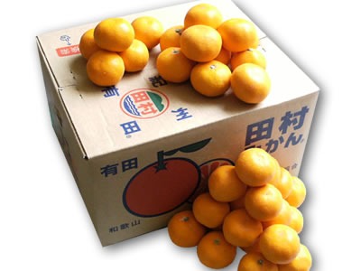 ʰˤʤޤ̵ۤĶ͵露露äȤޡͭĻ˾[¼ߤS10kg]