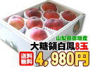 【お中元】【全国送料無料です！】厳しく糖度をチェックしてるから甘いんです！山梨県御坂町[大糖領白鳳8個]北海道・沖縄などのお届けに2日かかる地域へは冷蔵便使用別途210円【soryouk-0625】【soryouk】【ky】【京都●GB】