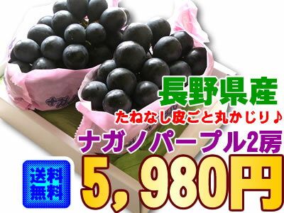 【全国送料無料】たねなし皮ごと食べられる長野県産[ナガノパープル大【2房】]【京都●GB】【京都●送料0901】【駅伝_セール】【駅伝_無制限】