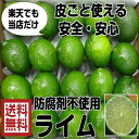 防腐剤不使用 常温便(メキシコ産 ライム 1kg レターパック)約8〜10個 ポストハーベスト農薬不使用 メキシコ レターパック 全国送料無料 青果 生