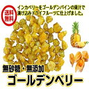 送料無料（ゴールデンベリー 160g／80gが2パック）食用ほおずき　ドライフルーツ　無添加　砂糖不使用　パイン