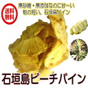 送料無料 (無添加 石垣島のピーチパイン 80g/40g×2パック)国産 ドライフルーツ 砂糖不使用 ピーチパイン ドライパイン フォンダンウォーター