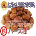 イラン デーツ ハース種 120g/60gが2パック ハラール 無添加 無農薬 砂糖不使用 ドライフルーツ(Pハース×2)全国送料無料