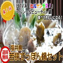 【送料無料】若狭 (すっぽん鍋セ...