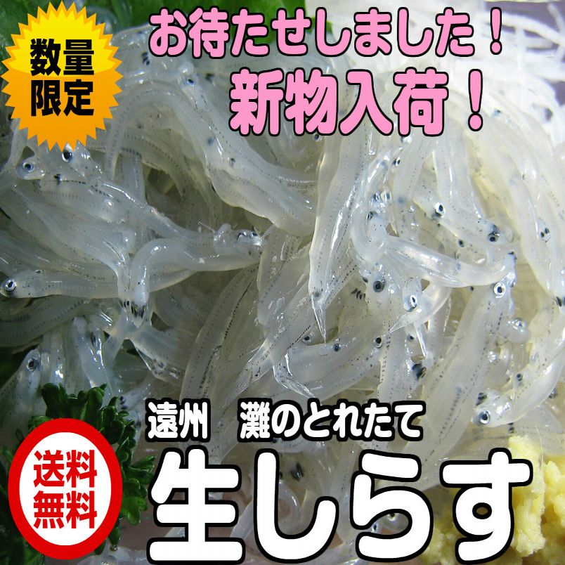 【送料無料】新物 遠州灘産 生しらす 100g2人前が6パック しらす お刺身 シラス 瞬間凍結 産...:fs-yokohama:10000001