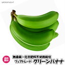 【送料無料】グリーンバナナ 11kg大箱(バナナ 11kg)レジスタントスターチ ダイエット