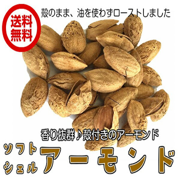 殻付きアーモンド（ソフトシェルアーモンド 300g／100g×3パック）お試し商品 ナッツ アーモン...:fs-yokohama:10000827