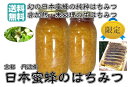 送料無料(京都丹波産日本蜜蜂の純粋蜂蜜100% 1kg)業務用 無添加 非加熱 国産 はちみつ