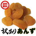 (訳あり!徳用あんず 1kg)砂糖不使用 ドライフルーツ アプリコット ドライあんず ドライ杏 アンズ あんず