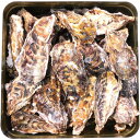 三重鳥羽浦村 簡単焼き牡蠣 お徳用詰合せ