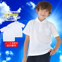≪1枚845円≫ 【お得な2枚セット】ポロシャツ 白 2枚セ...