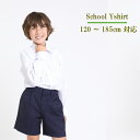 【長袖】学生服 ワイシャツ スクールシャツ 小学生 通学 白 Yシャツ 学校用 高校 夏 大きいサイズ 男子 洗い替え 学校用 ベルト 体育服 シャツ ポイント消化 ラッキーシール 週末限定