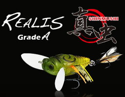 デュオ　REALIS Grade A 真虫(シンムシ)　ACC3204 アブラゼミ