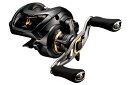 ダイワ(グローブライド) スティーズSV TW 1016SV-SH FTO楽天オープン記念【お買い物マラソンxエントリーでポイントアップ5倍キャンペーン!2017年09月30日(土)20:00?2017年10月05日(木)01:59まで】