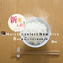 【新米】【2年産】宮崎県産 コシヒカリ 白米5kg 送...