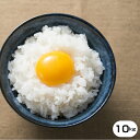 熊本県産白米10kg/お米/熊本県産米10kg 送料無料/米 10kg
