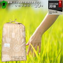 自然農法米 【30年産】熊本県産ひのひかり 30kg 小分け...