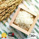 米 30kg くまさんの輝き【令和元年産】熊本県産 玄米30...