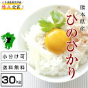 当店人気No.1【28年産】【新米】熊本県城北地区産【ひのひかり】玄米30kg白米27kgヒノヒカリ【あす楽】/お米/熊本県産【米 30kg 送料無料】【玄米 30kg 送料無料】【米30kg 送料無料】