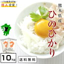 【28年産】熊本県【城北地区産】【ひのひかり】白米10kg(5kg×2)【送料無料】ヒノヒカリ【あす楽】/お米/熊本県産【米 10kg 送料無料】【お米 10kg 送料無料】