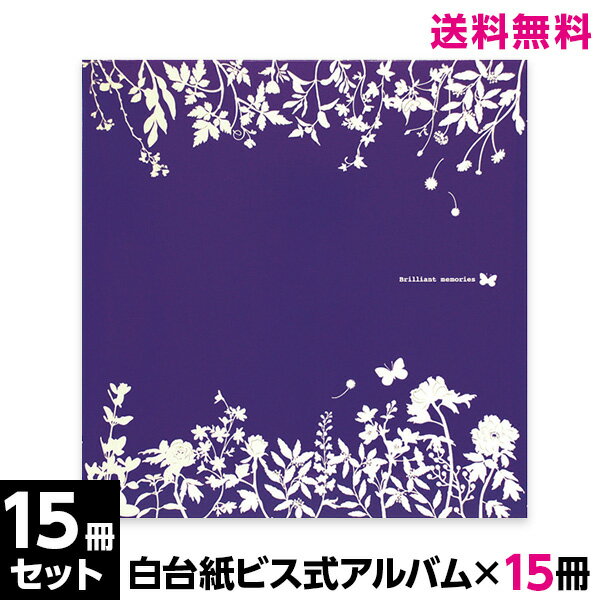 ポイント10倍 アルバムランキング1位常連 15冊セット ナカバヤシ ネット限定品 アルバム Lサイ...:fueru:10065073