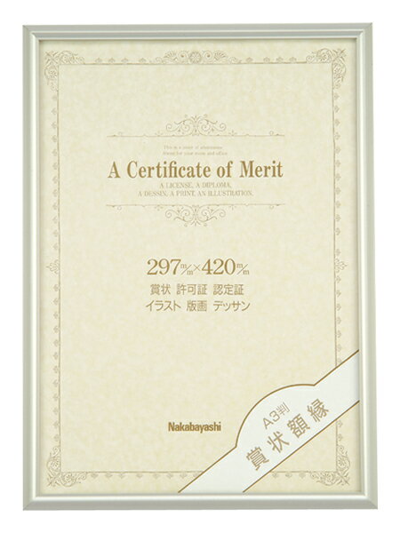 【5%0FFクーポン配布中】ナカバヤシ アルミ 賞状額縁 大A3判 大賞賞状サイズ フ-KA-21S 激安洋室に馴染むアルミ賞状額。