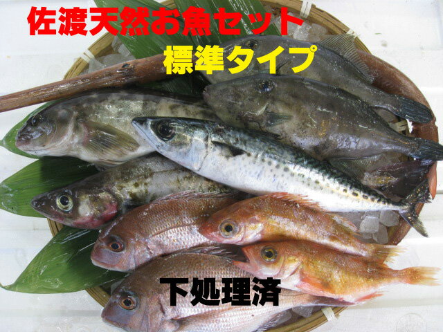 【送料無料 】　佐渡天然お魚セット　標準タイプ［下処理済］　\2980　いろんなお魚はいってます！！