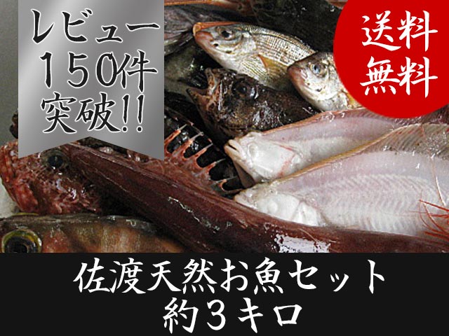 【送料無料 】　佐渡天然お魚セット約三キロ入って￥3480　とにかくいろんな魚が入ってます…...:fugunoko:10000036