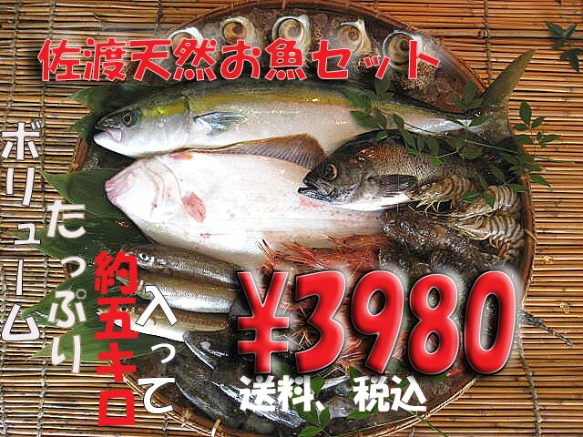 【送料無料 】　ボリュームタップリ佐渡天然お魚セット約5キロ入って￥3980　とにかくいろんな魚が入ってます！！