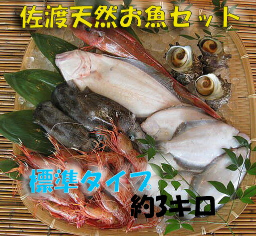 【送料無料 】　佐渡天然お魚セット約三キロ入って￥2980　とにかくいろんな魚が入ってます！！