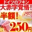 『ドイツのフキン☆BLITZ 1枚』6枚以上お買い上げでメール便限定・代金引換不可24時間限定！ドイツのフキンが衝撃の半額250円！まとめ買いのチャンス！