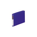 クリアーブック ルポ B6E 20ポケット N4230-8 リヒトラブ