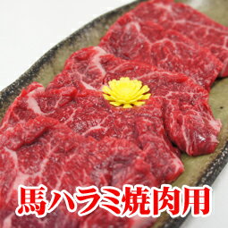 馬ハラミ焼肉用スライスパック100g【同梱に最適】焼肉屋さんで大人気のハラミ。馬肉のハラミも焼肉にはもってこいの部位です。比較的商品価格が安いので他の商品と同時にご注文すれば送料がお得♪