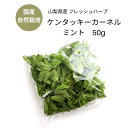 国産 ハーブ 山梨県産 フレッシュハーブ 【オレンジミント】50g 自然栽培 富士山 無農薬 シングルハーブ ハーブティー お茶 カクテル モヒート トッピング 飾りつけ スイーツ サラダ ミントティー 製菓材料 デイリー おうち時間 herb tea mint