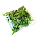 フレッシュハーブ 【スペアミント】100g 山梨県産