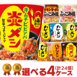 <strong>カレーメシ</strong> 台湾メシ ぶっこみ飯 選べる合計4箱（24個）セット[日清食品 非常食 送料無料 ルーローハン 日清カレー飯 ぶっこみめし 詰め合わせ まとめ買い 箱 ケース nissin]