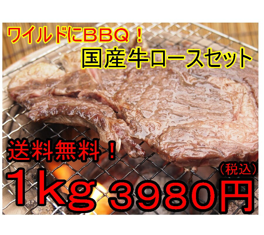 ★国産牛ロースセット★　1kg 3980円送料無料ワイルドなBBQに！