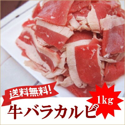 【牛バラカルビ1kg】/送料無料/500gx2袋/小分け/バラ凍結/アメリカ/チャック付袋…...:fujikocyan:10000004