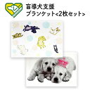 プチブラバンソン 子犬 Puppy に遊ばれる フレンチブルドッグとmix犬 わん 癒されワンちゃん動画集め