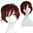 ハロウィン コスプレ 仮装 ウィッグ ショート ボブ ウィッグ キャラクターウィッグ ミディアム ウルフ エクステ 男装 耐熱 ウイッグ フルウイッグ ラップ 富士達 ふじたつ 富士達 ふじたつ 独歩 風 キャラウィッグ